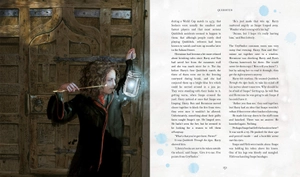 harry potter and the philosopher's stone - illustrated uk edition - Ảnh 9