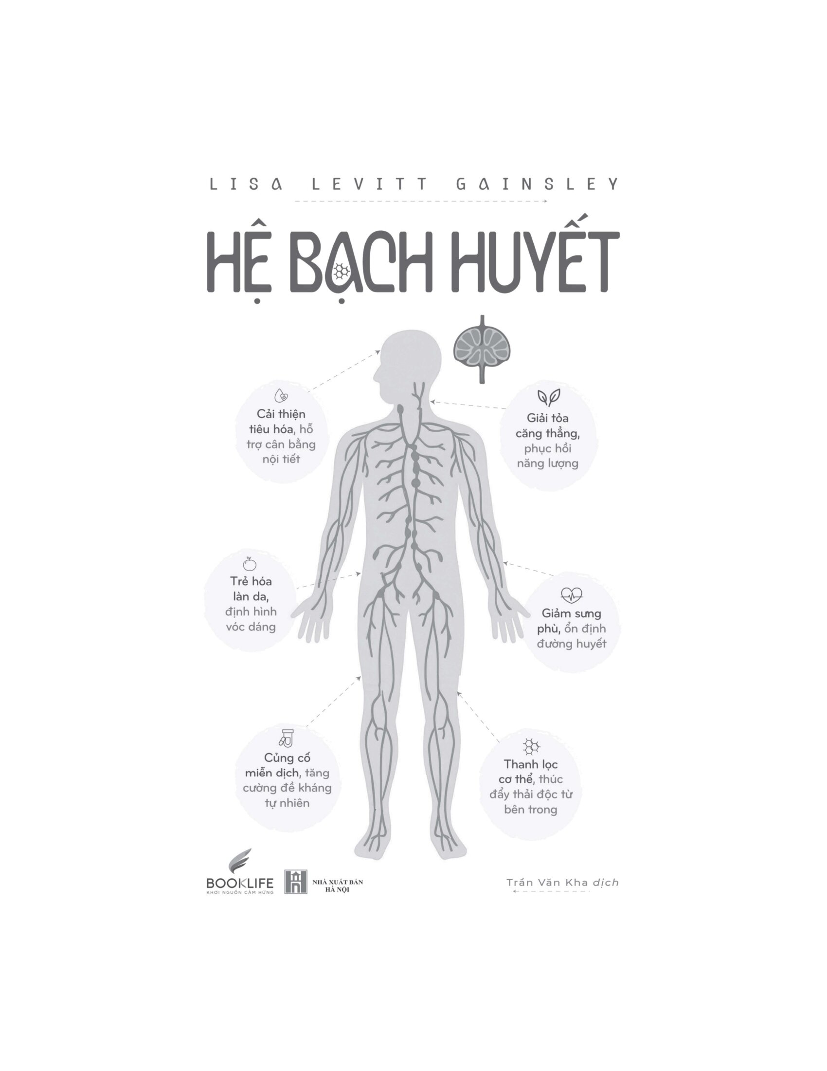 Hệ Bạch Huyết - Ảnh 3