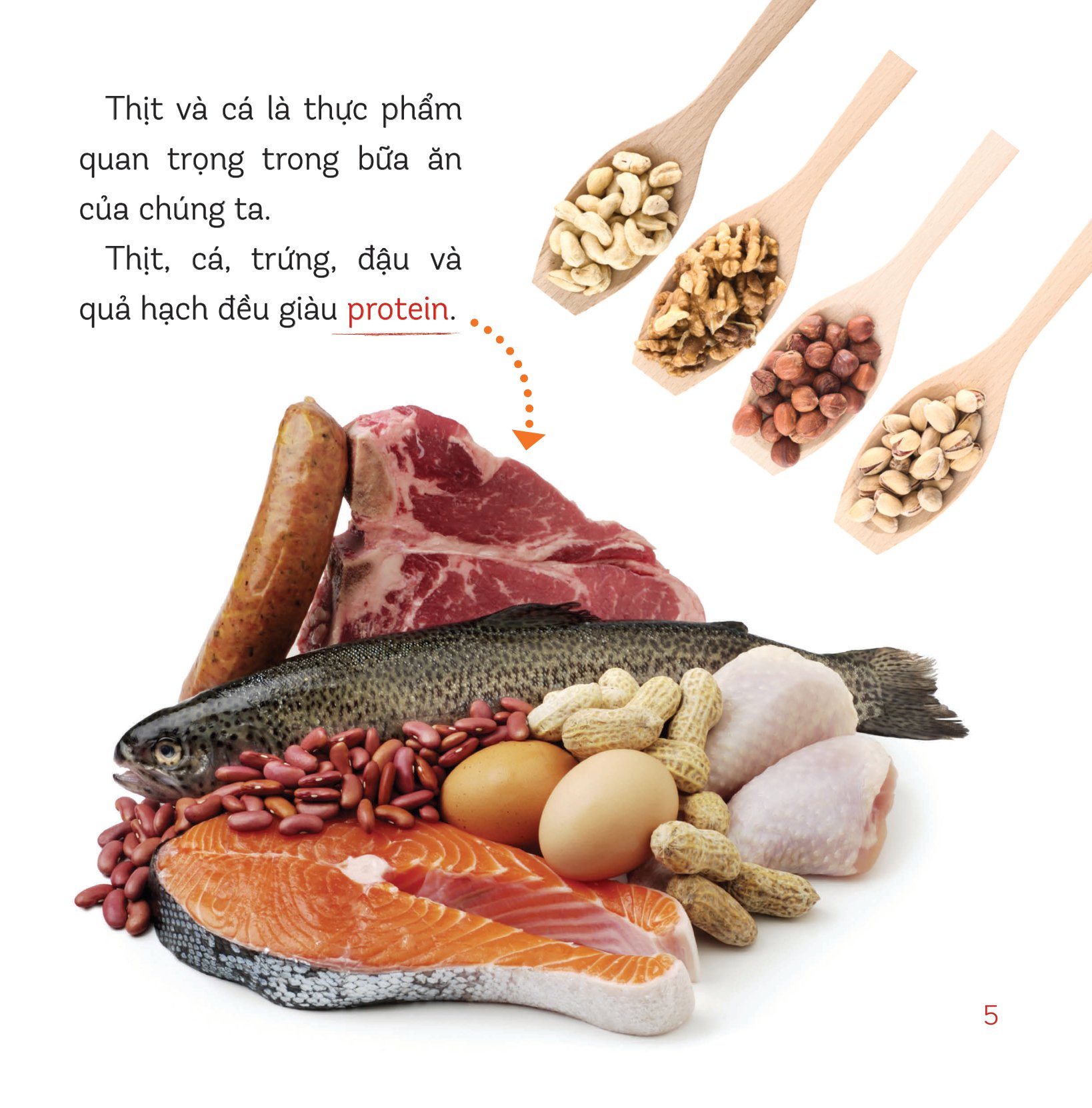 healthy eating - ăn uống lành mạnh - thịt và cá - Ảnh 3