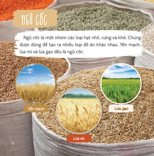 healthy eating - ăn uống lành mạnh - thực phẩm giàu tinh bột - Ảnh 4