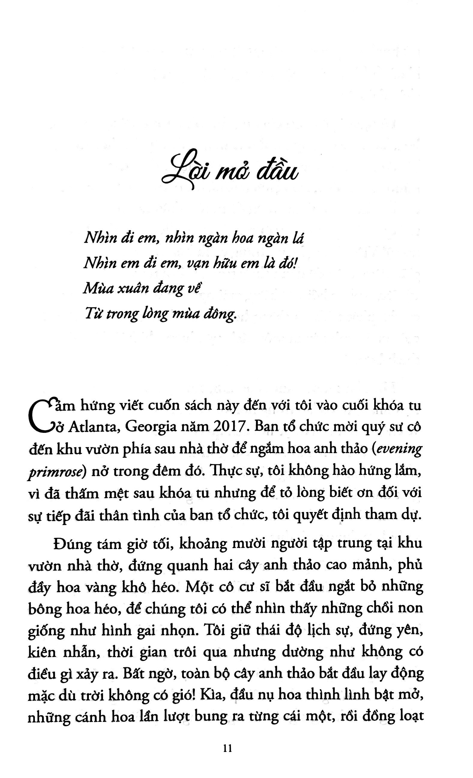 hoa nở trong đêm - Ảnh 8