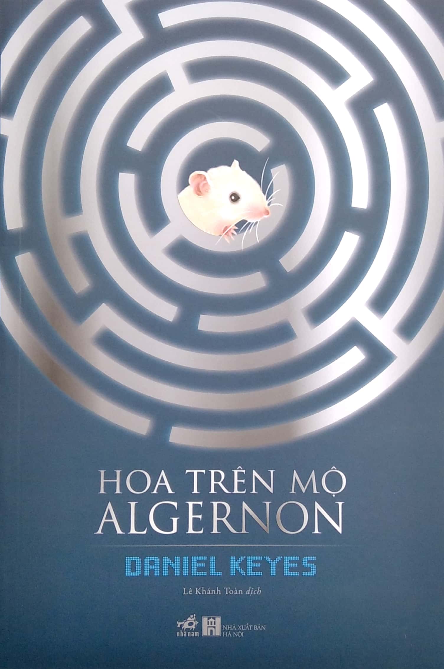 hoa trên mộ algernon - Ảnh 2