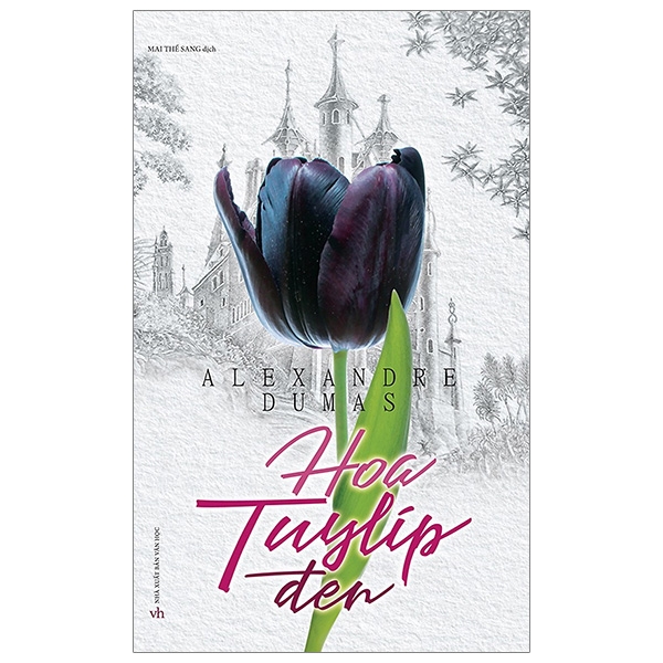 hoa tuylip đen - Ảnh 2