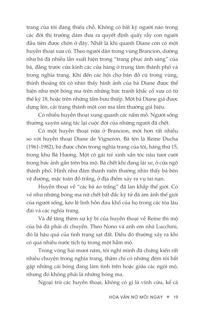 hoa vẫn nở mỗi ngày - Ảnh 15