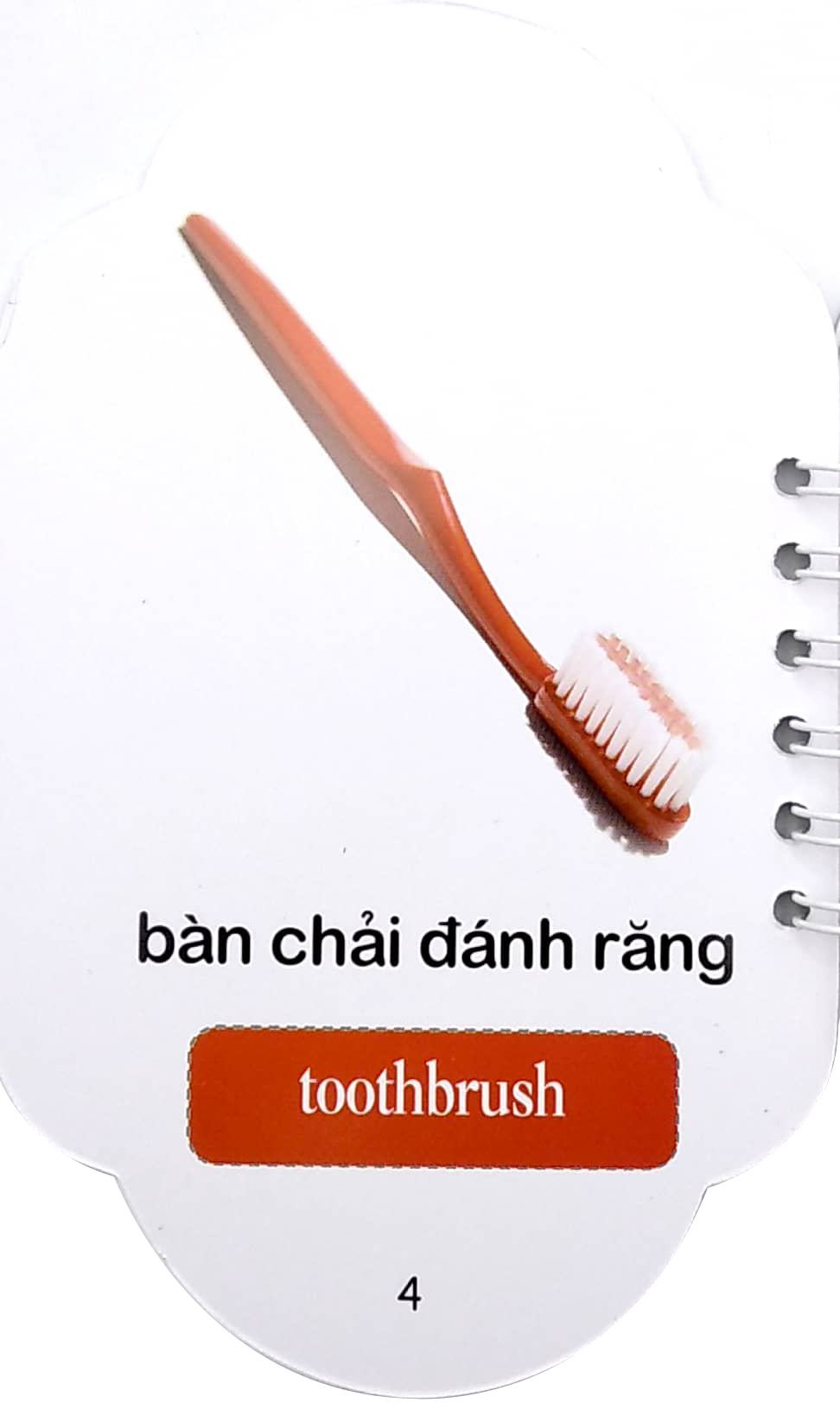 học từ theo chủ đề - đồ dùng - Ảnh 5