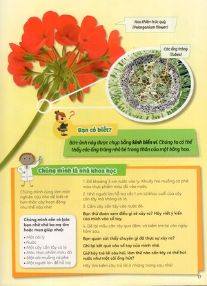 học vui hiểu rộng biết nhiều - cây cối diệu kì - Ảnh 33