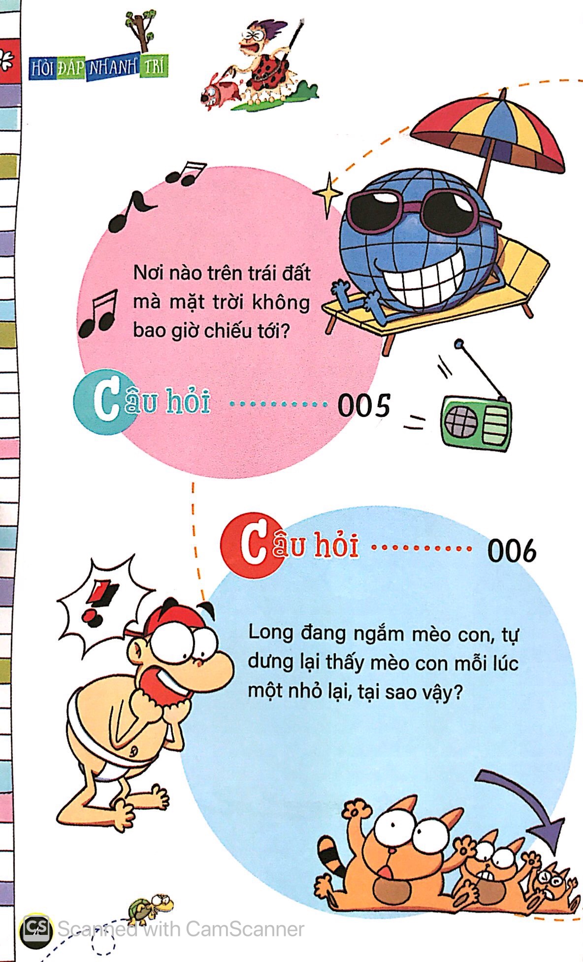 hỏi đáp nhanh trí - đố vui hại não - Ảnh 7