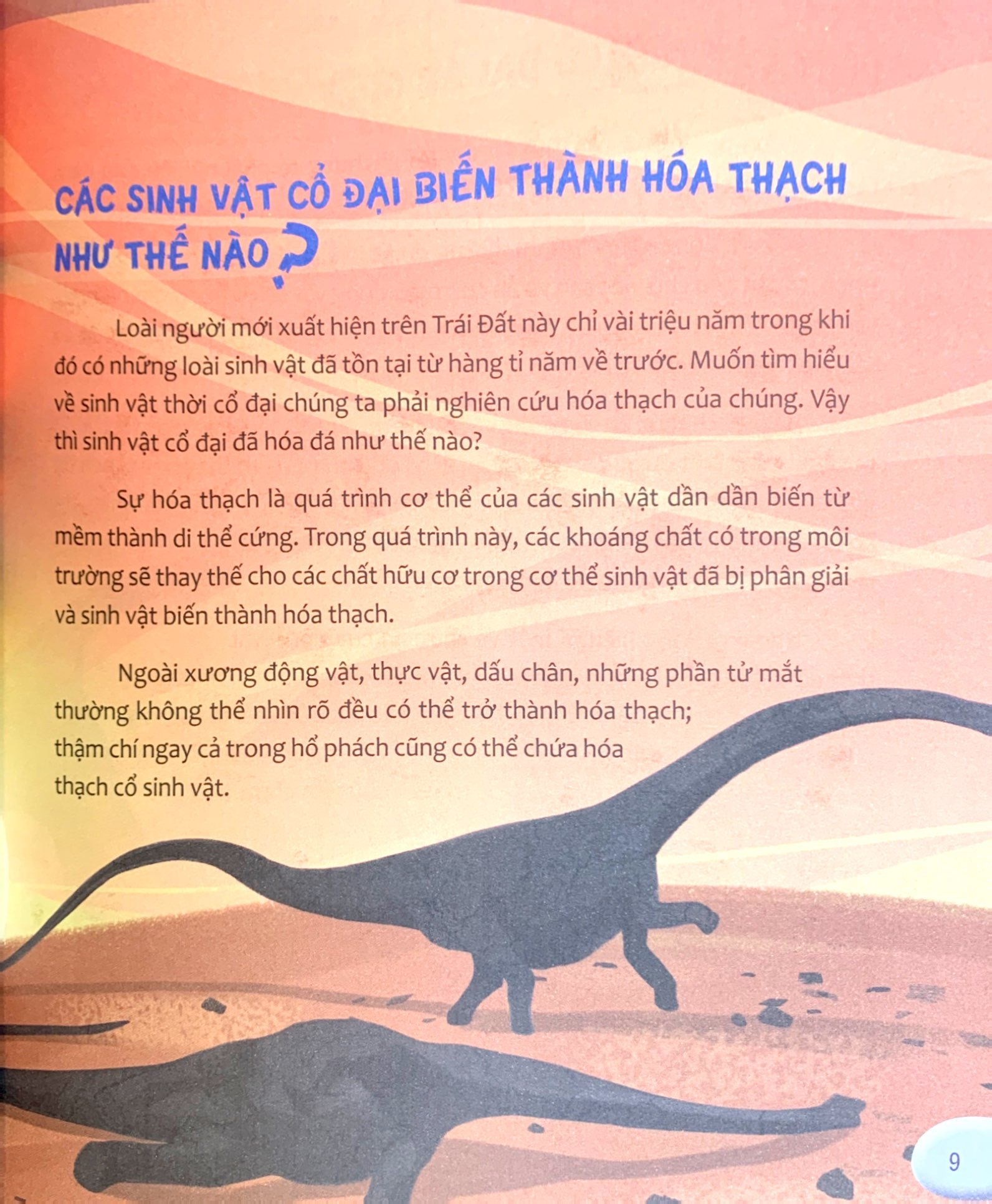 hỏi nhỏ biết to - cổ sinh vật (tái bản 2022) - Ảnh 6