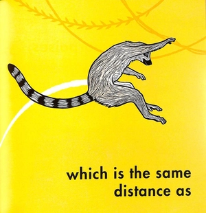 how far can a kangaroo jump? - Ảnh 5