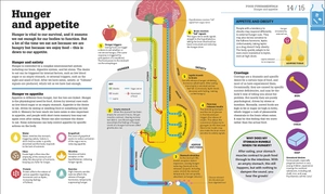 how food works - Ảnh 10