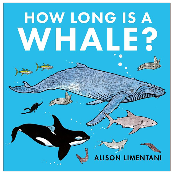 how long is a whale?