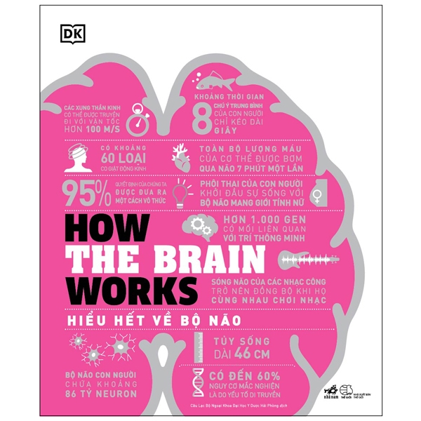 how the brain works - hiểu hết về bộ não