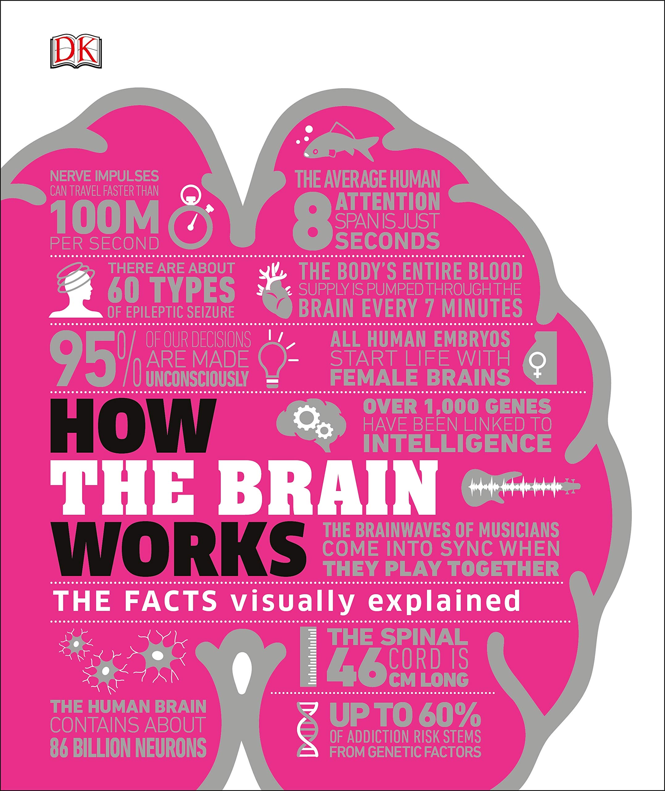 how the brain works: the facts visually explained (how it works)