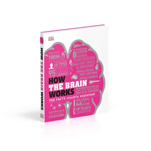 how the brain works: the facts visually explained (how it works) - Ảnh 9
