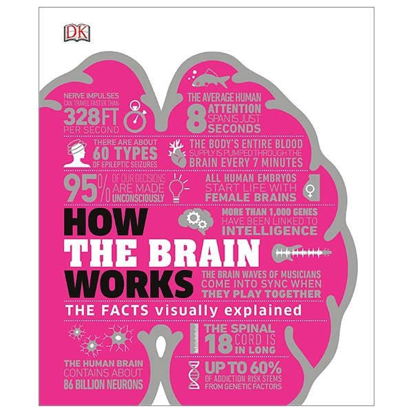 how the brain works: the facts visually explained (how things work)