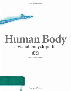 human body a children's encyclopedia - Ảnh 4