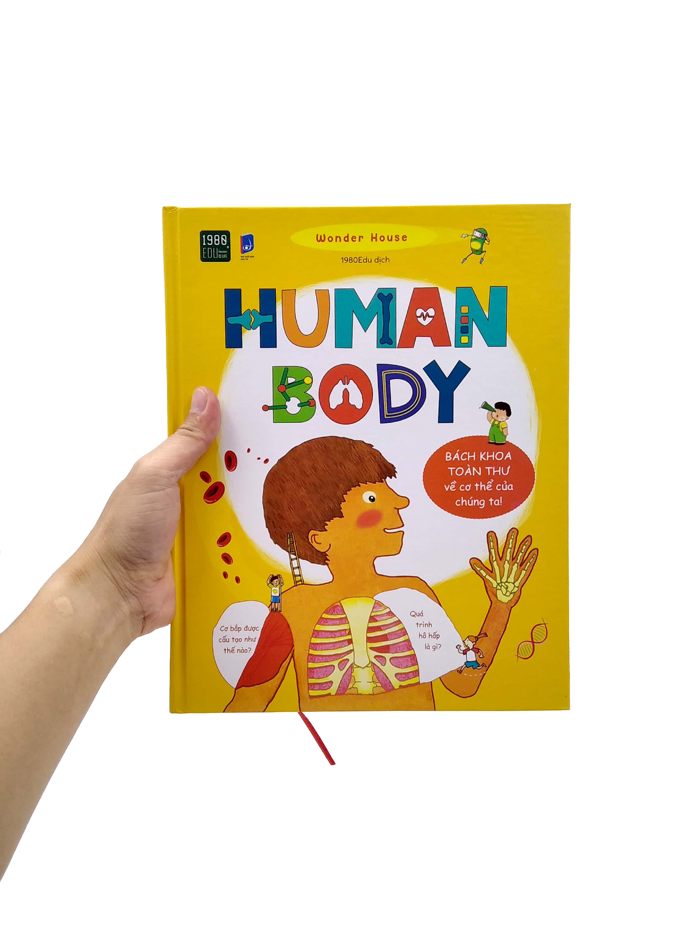 human body - bách khoa toàn thư về cơ thể chúng ta - Ảnh 7