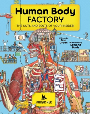 human body factory - a guide to your insides - Ảnh 4