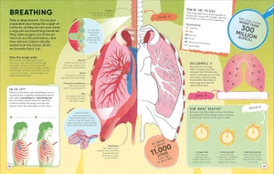 human body - over 100 brain-boosting activities that make learning easy and fun - Ảnh 5