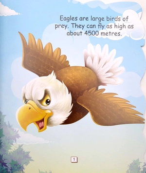 i am an eagle… the king of the sky - Ảnh 3