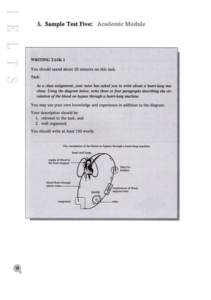 ielts writing strategies for the ielts test - Ảnh 9