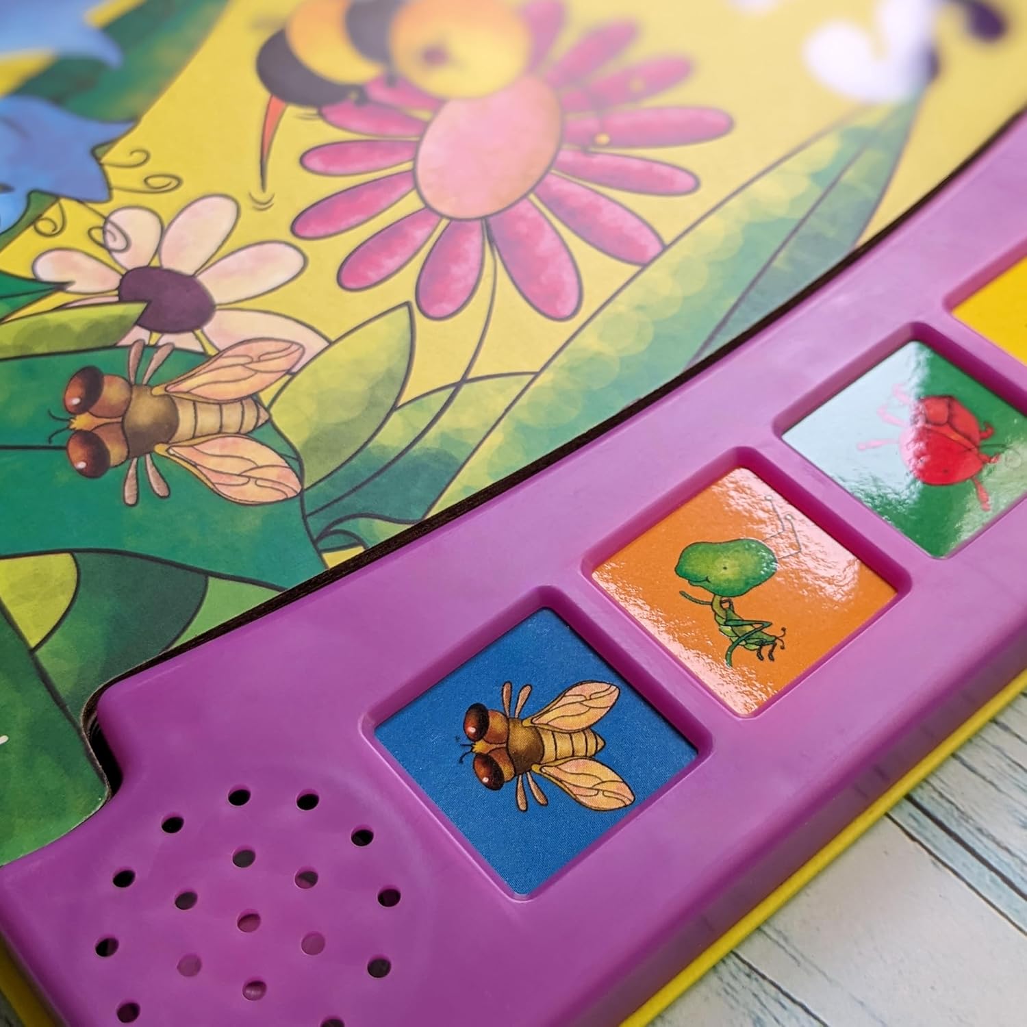 Insects - With 6 Fun Insect Sounds! - Ảnh 6