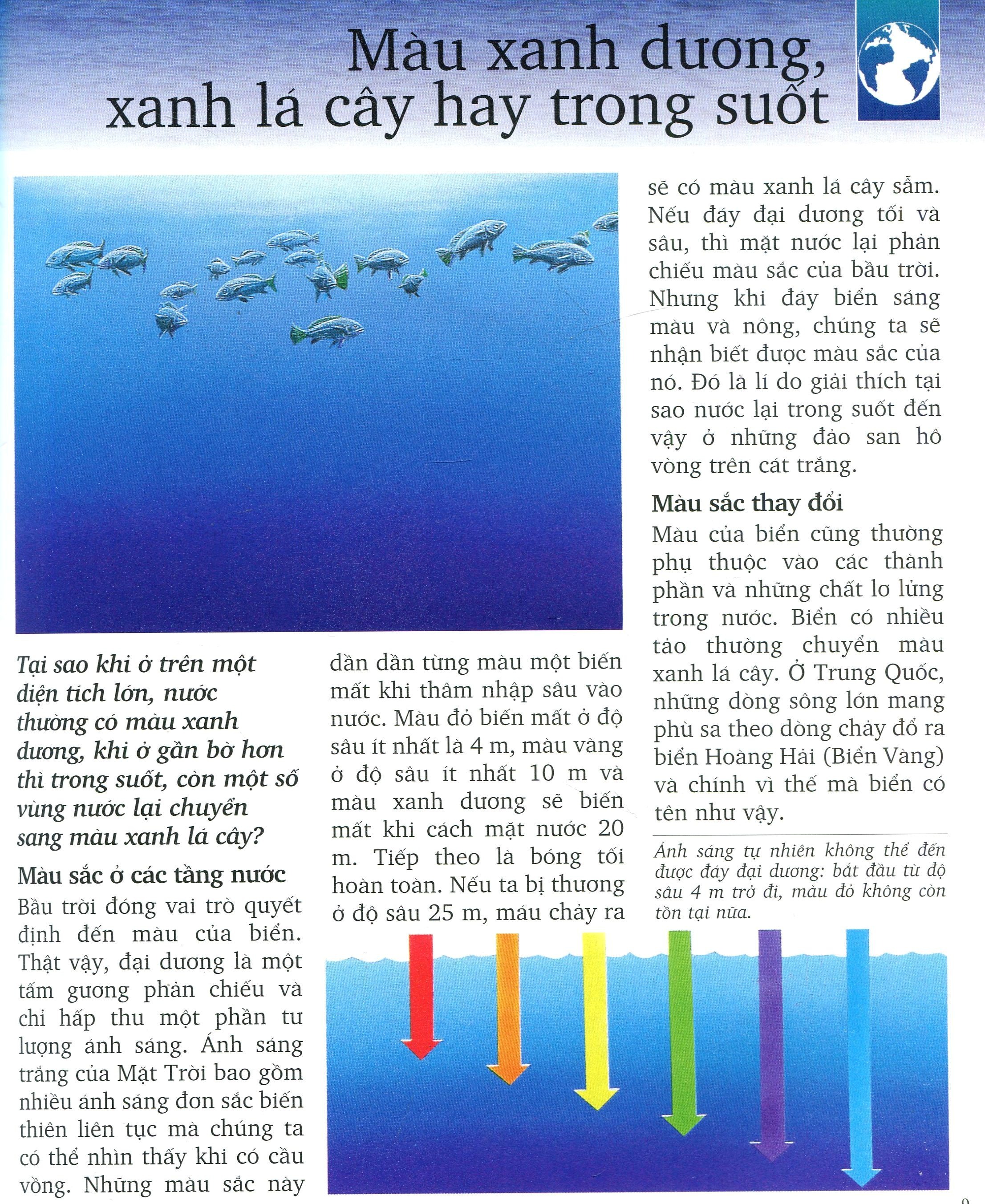 Khám Phá Biển - Bìa Cứng (Tái Bản 2025) - Ảnh 6