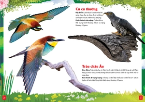 khám phá động vật 5 châu - châu âu - Ảnh 8