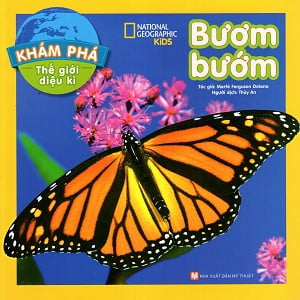 khám phá thế giới diệu kì - bươm bướm