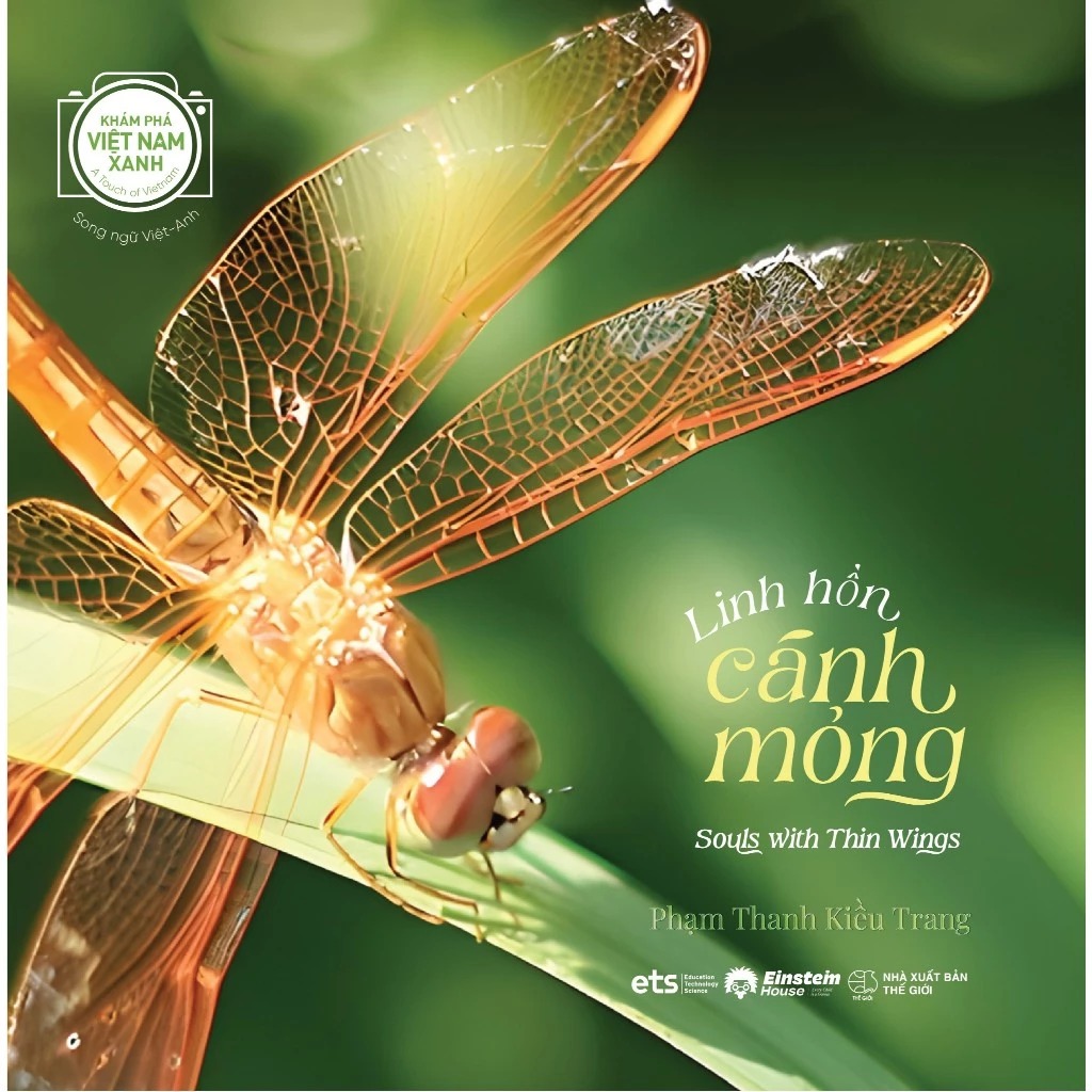 Khám Phá Việt Nam Xanh - A Touch Of Vietnam - Linh Hồn Cánh Mỏng - Souls With Thin Wings - Song Ngữ Việt-Anh - Ảnh 3