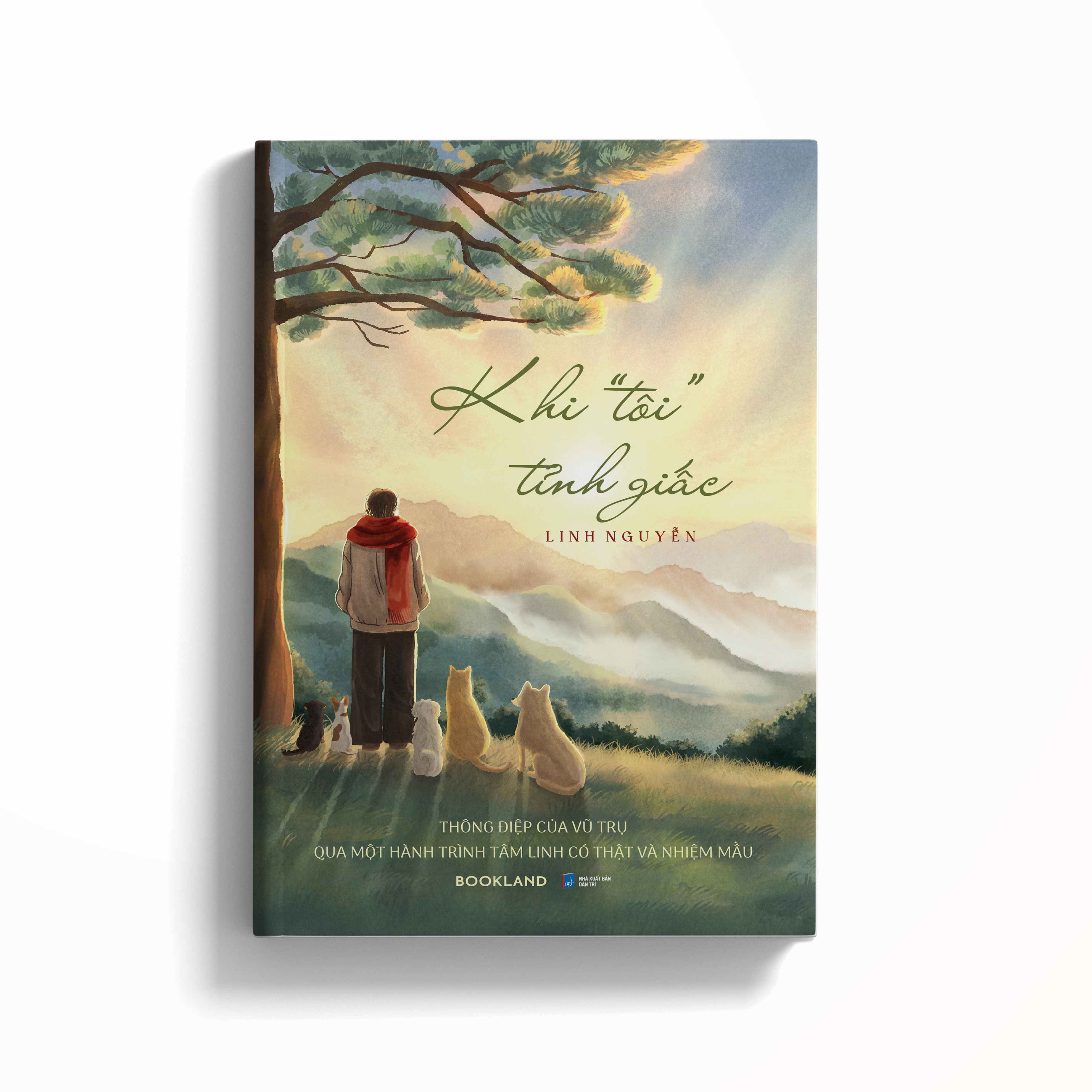 khi “tôi” tỉnh giấc - Ảnh 4