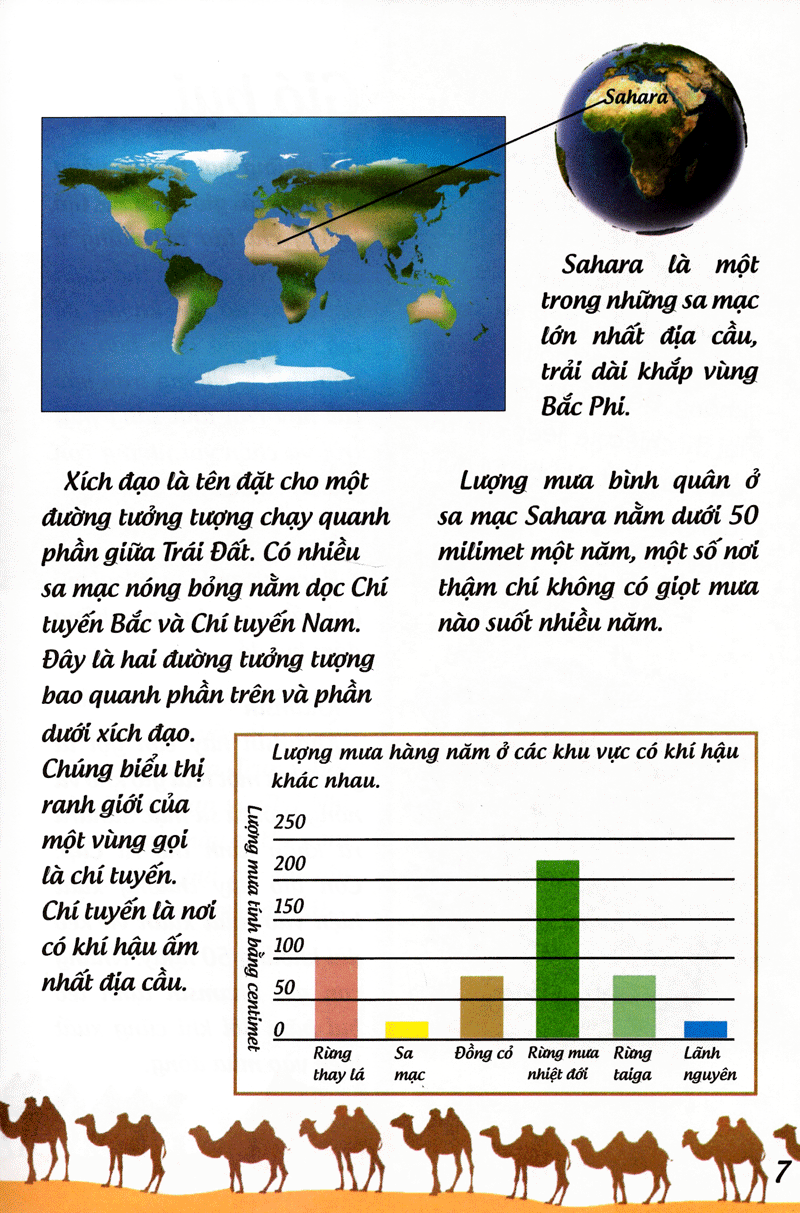 khoa học cứu mạng - phiêu lưu trong sa mạc - Ảnh 8