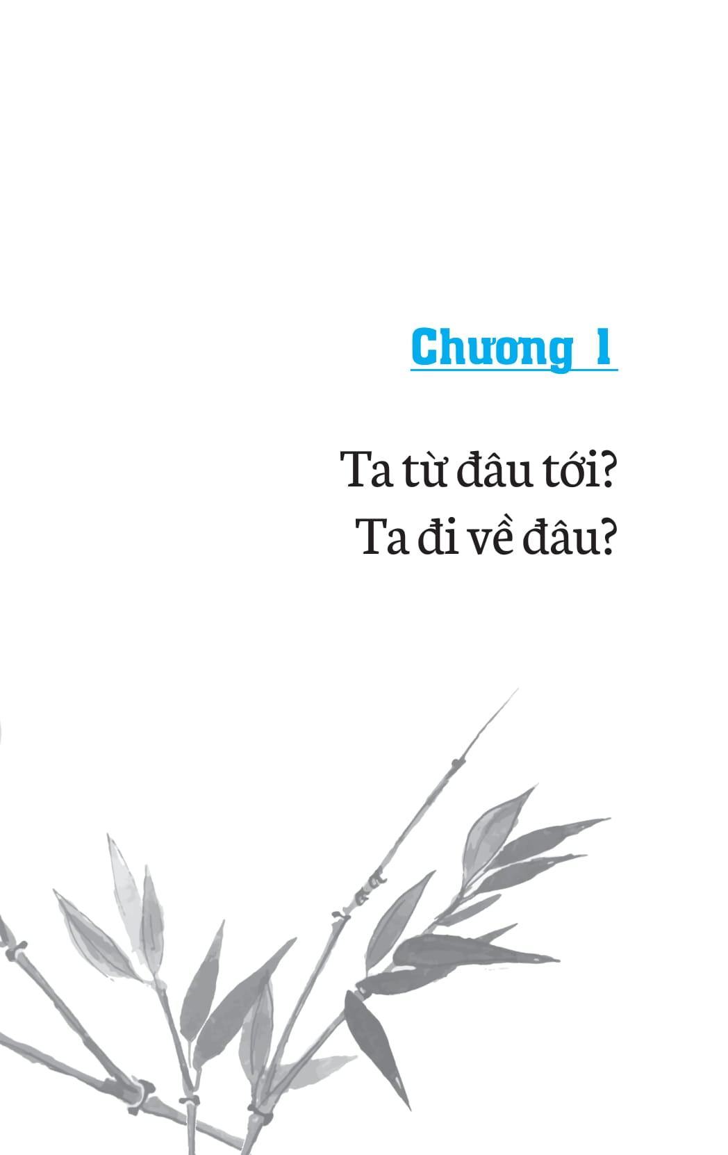 không diệt không sinh đừng sợ hãi (tái bản 2022) - Ảnh 8