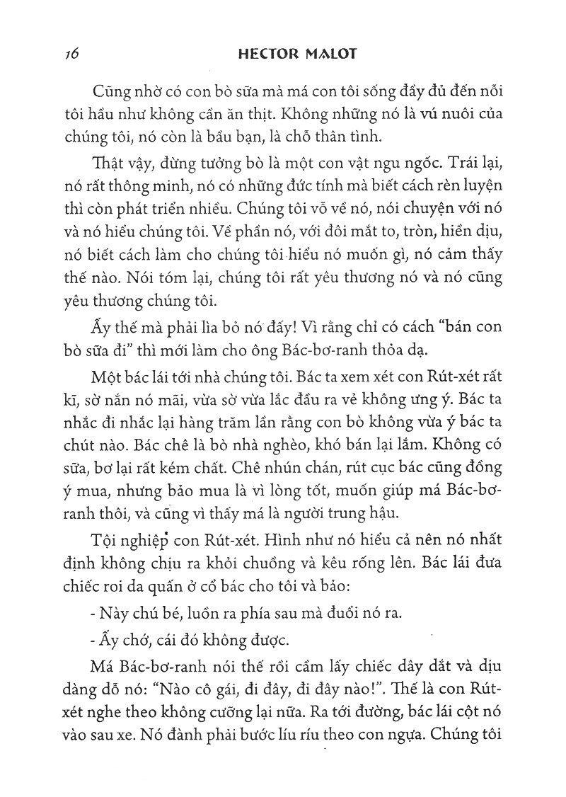 không gia đình - bìa cứng - Ảnh 10