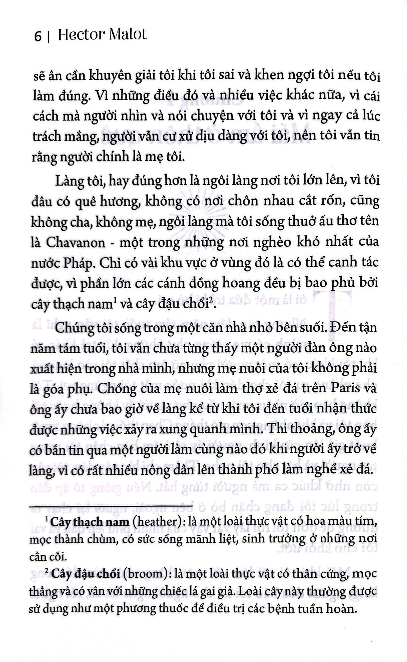 không gia đình (tái bản 2024) - Ảnh 4