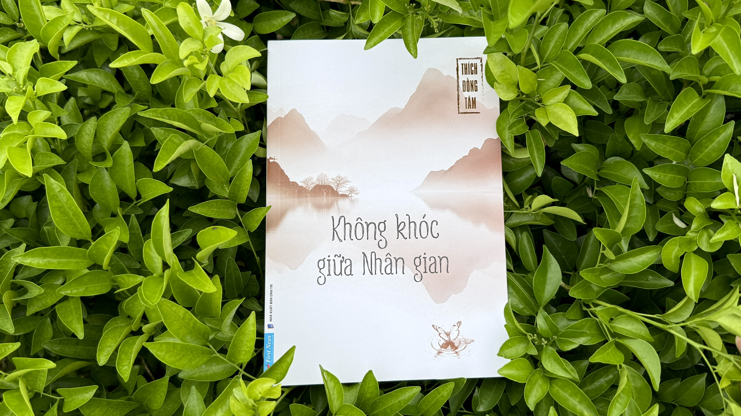Không Khóc Giữa Nhân Gian - Ảnh 4