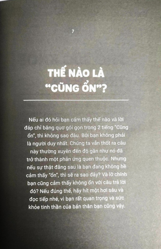 không ổn cũng không sao - Ảnh 4