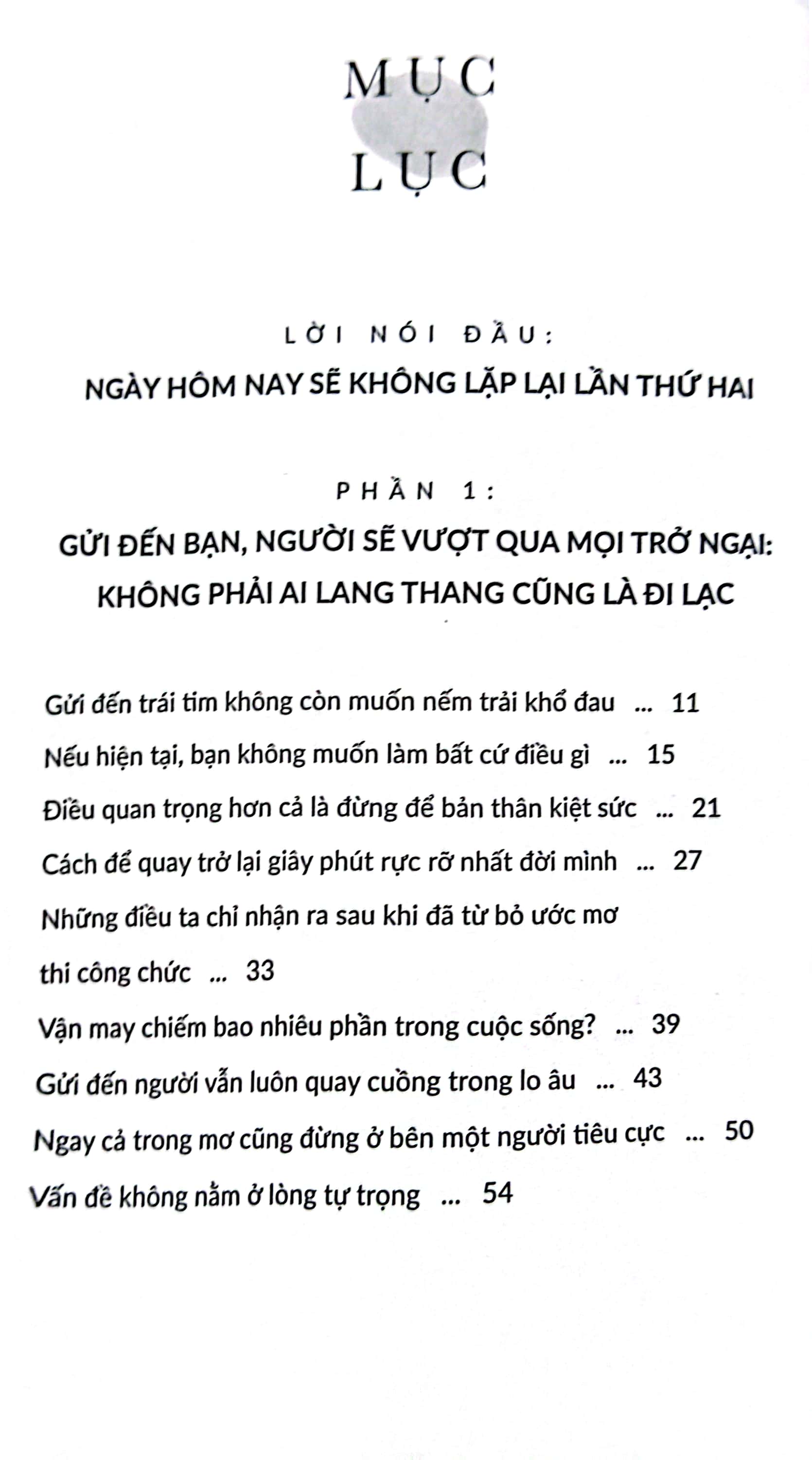 không phải ai lang thang cũng là đi lạc - Ảnh 3