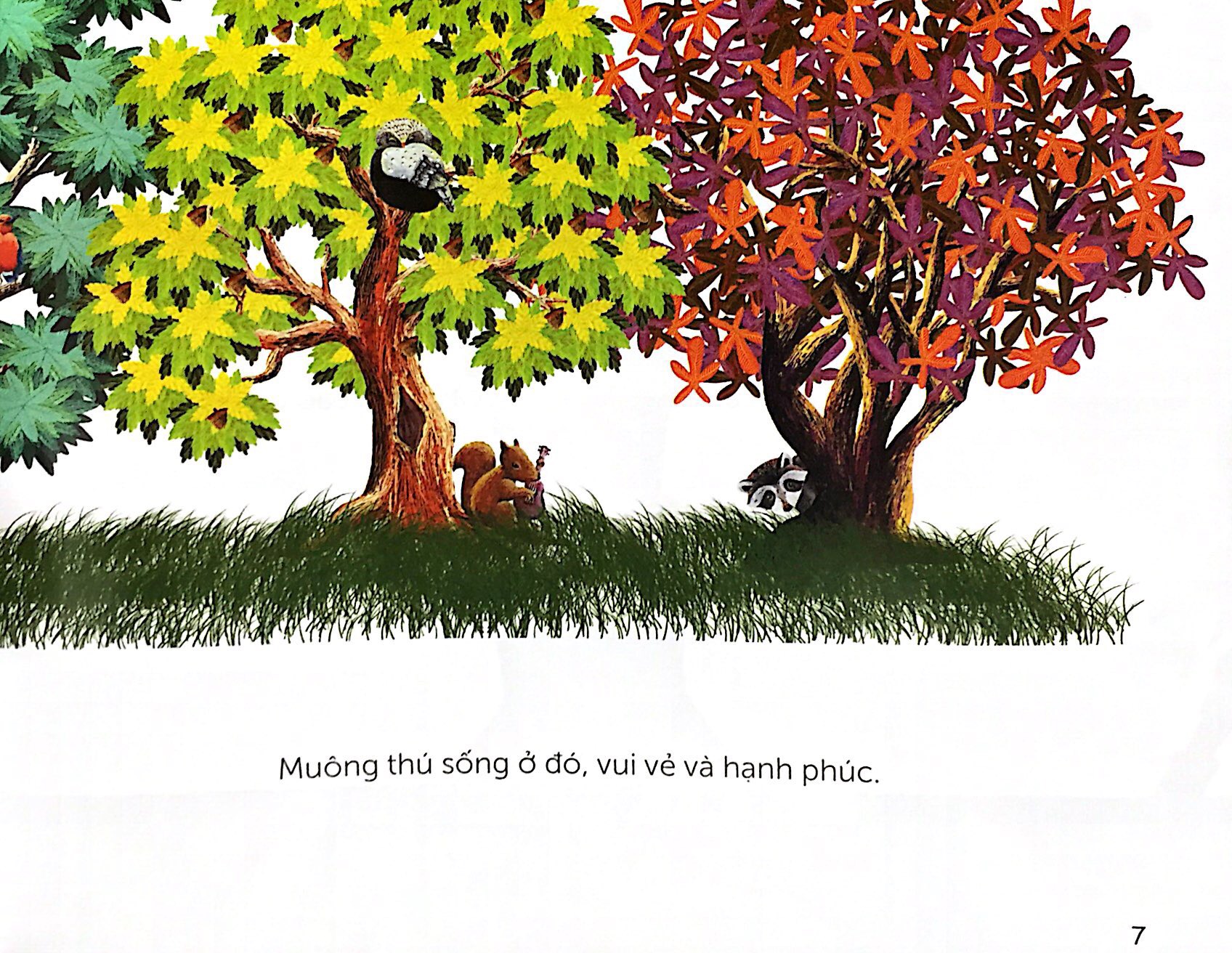 khu rừng cổ tích - Ảnh 3