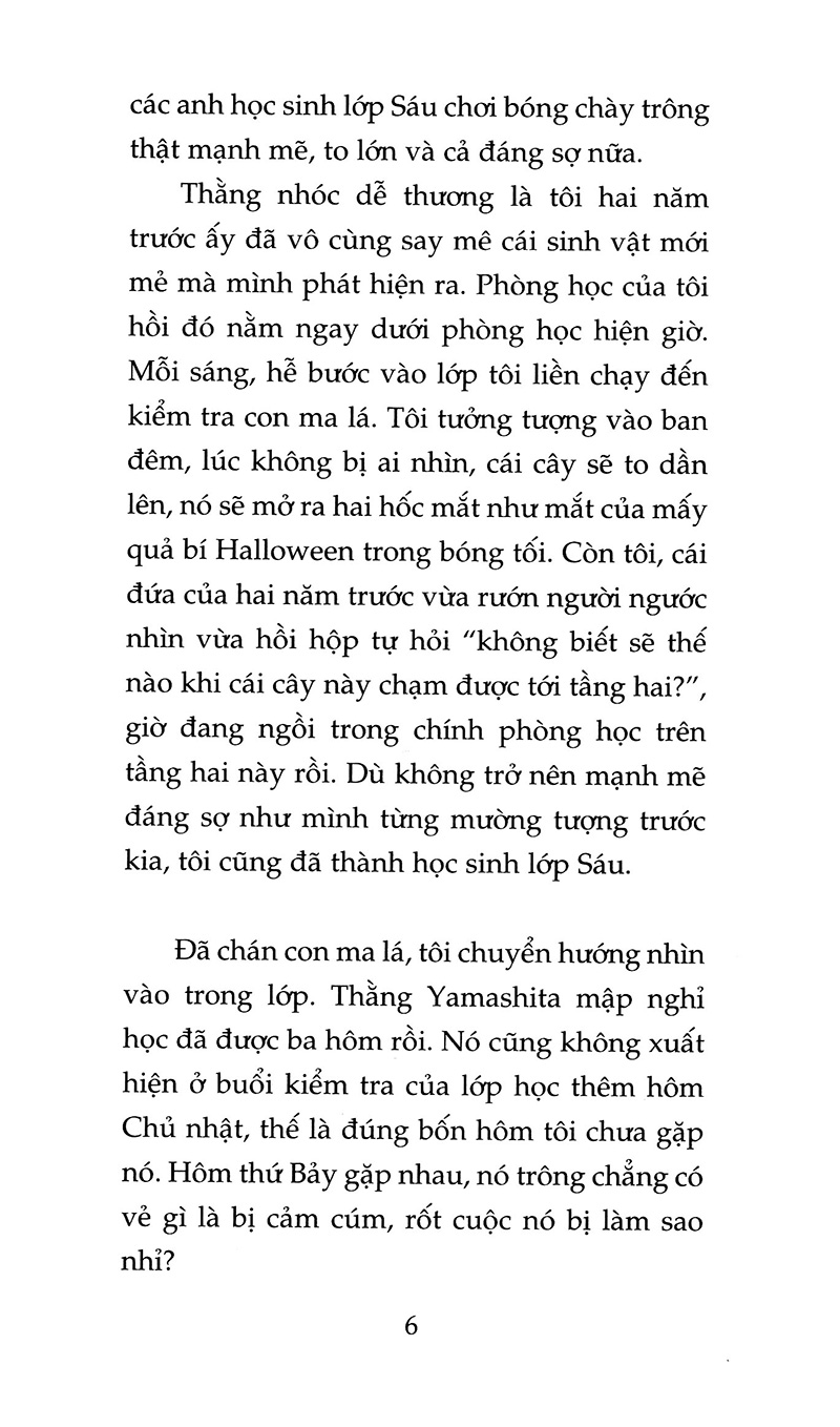 khu vườn mùa hạ (tái bản 2020) - Ảnh 4