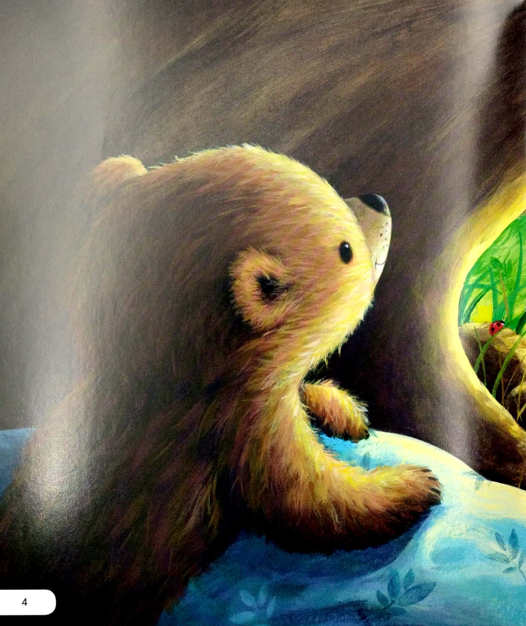 kĩ năng ứng xử với bạn bè - biết giúp đỡ - gấu nhỏ làm bạn cùng rùa - Ảnh 3