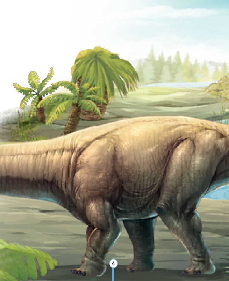 kiến thức về khủng long - cổ khủng long mamenchisaurus dài bao nhiêu? cơ thể khủng long chứa đầy bí mật - Ảnh 9