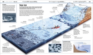 knowledge encyclopedia ocean!: our watery world as you've never seen it before - Ảnh 8