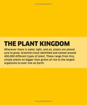 knowledge encyclopedia - plants and fungi - Ảnh 10