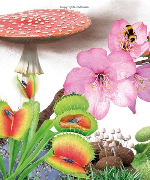 knowledge encyclopedia - plants and fungi - Ảnh 3