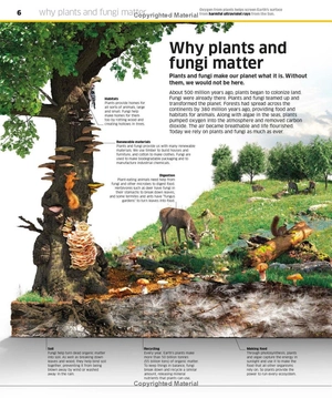 knowledge encyclopedia - plants and fungi - Ảnh 9