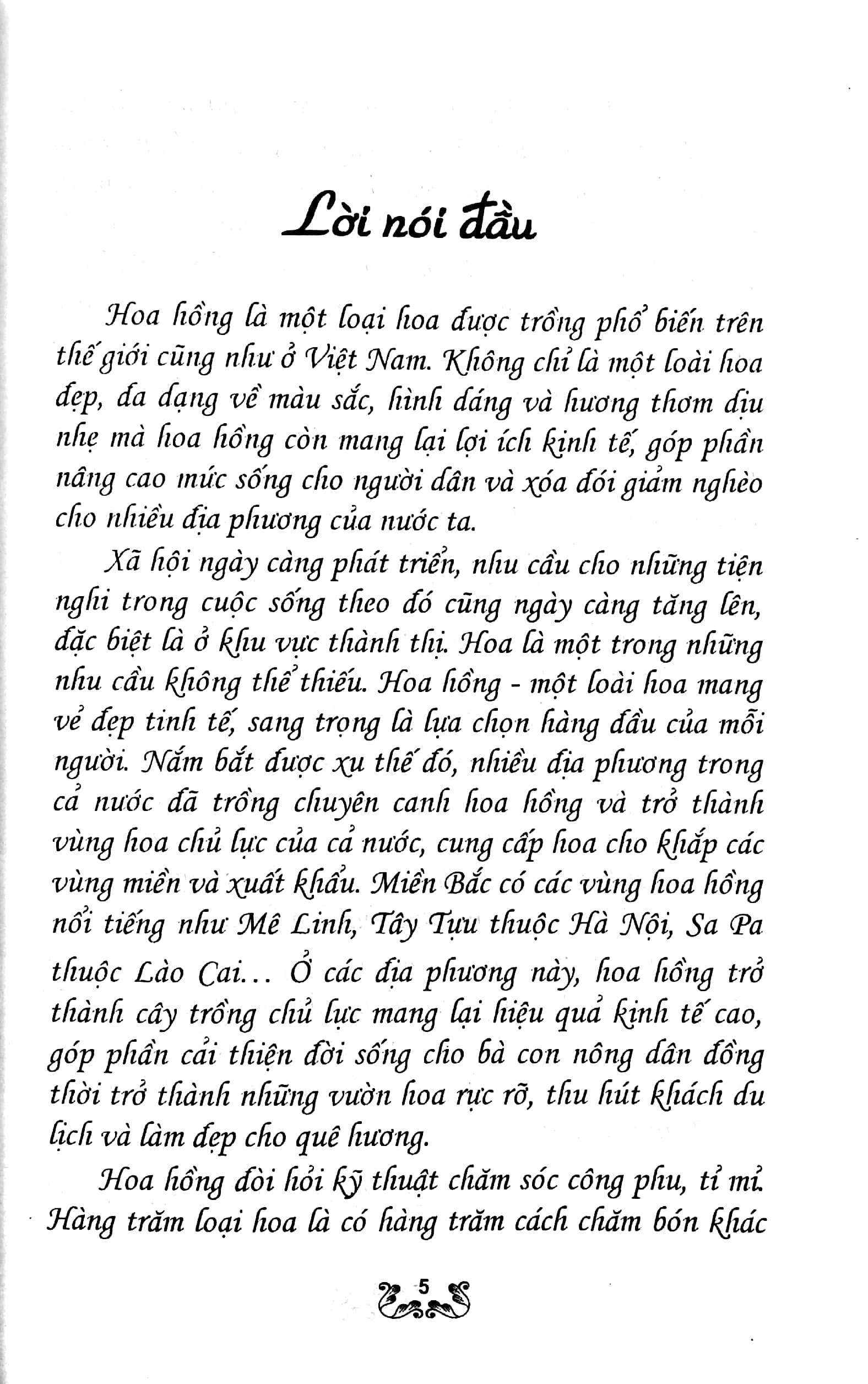 kỹ thuật trồng và chăm sóc hoa hồng - Ảnh 5