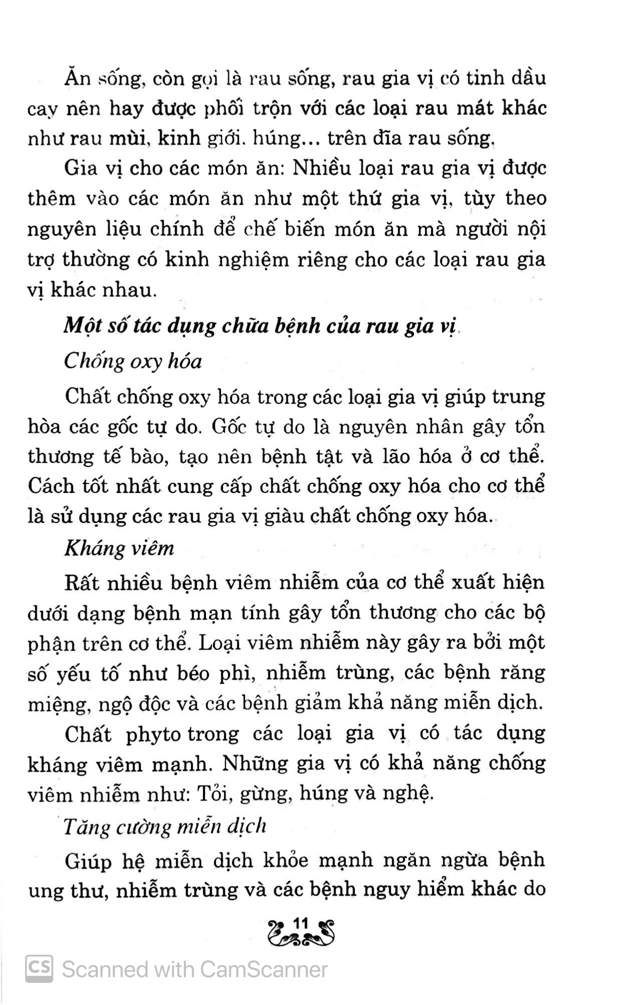 kỹ thuật trồng và chăm sóc rau gia vị - Ảnh 10