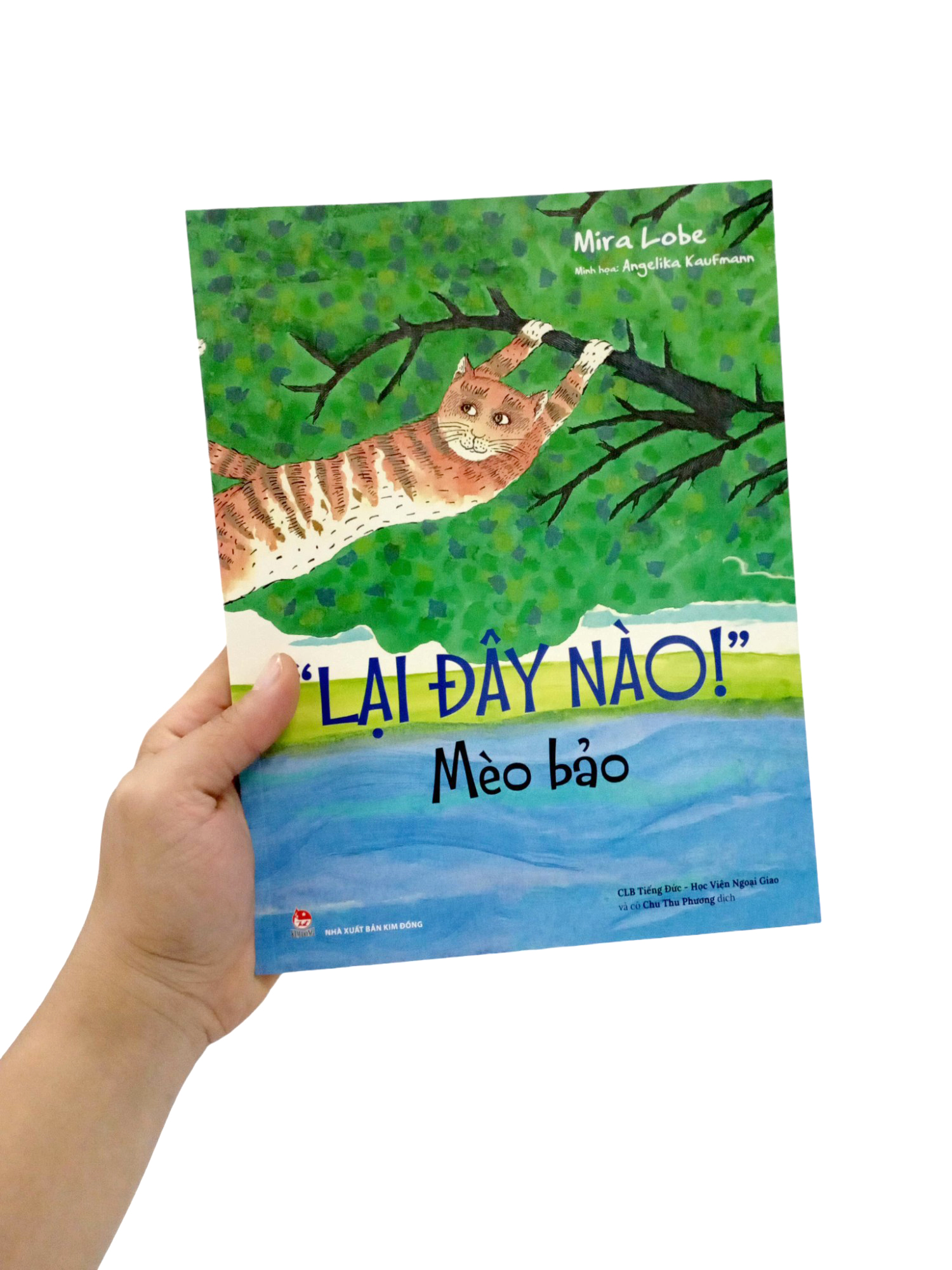 "lại đây nào!" - mèo bảo - Ảnh 8