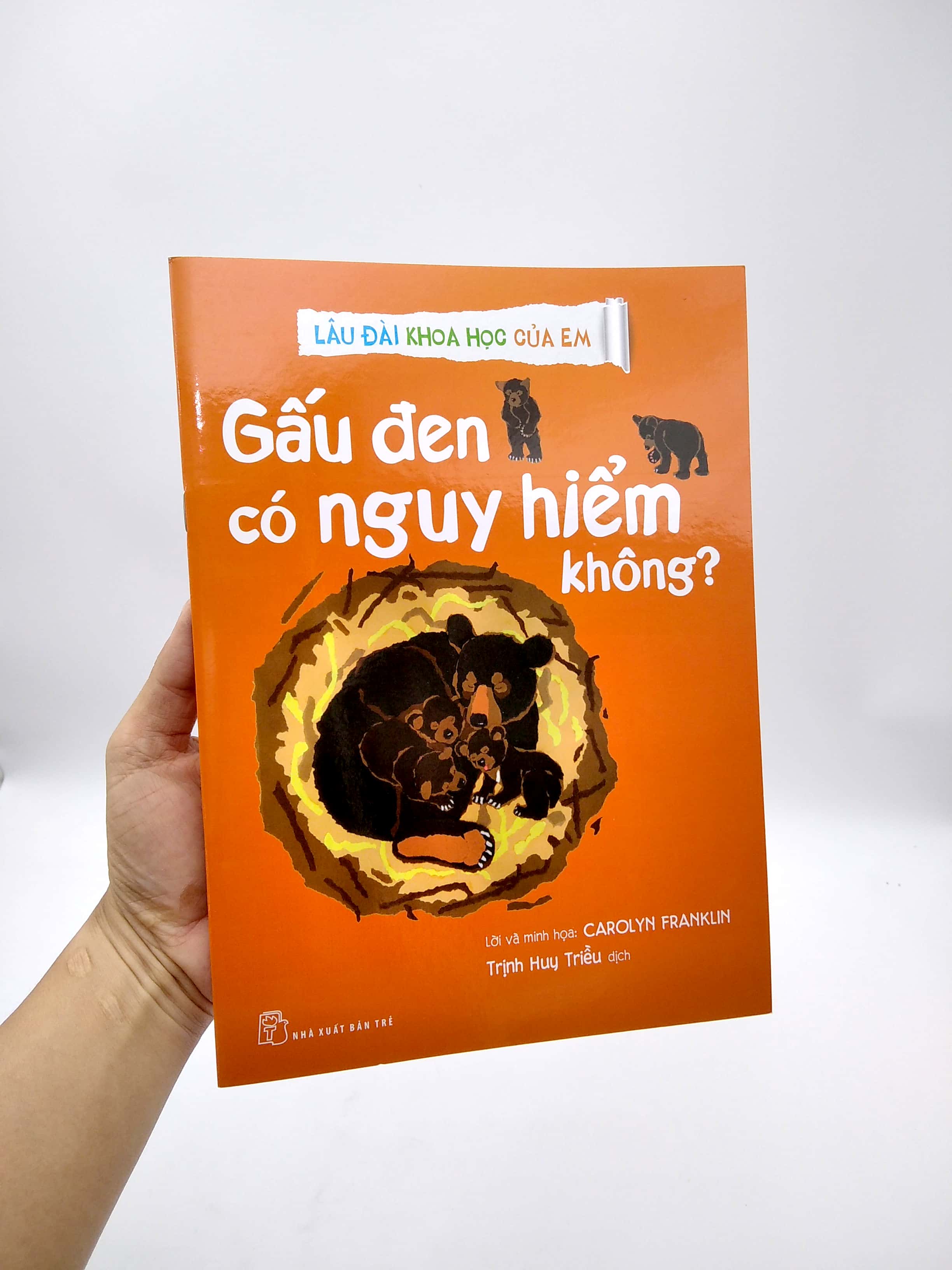 lâu đài khoa học của em - gấu đen có nguy hiểm không? - Ảnh 7